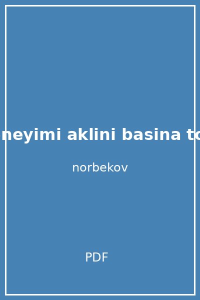 aptalin deneyimi aklini basina toplama rehberi mirzakarim