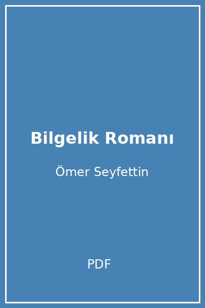 Bilgelik Romanı