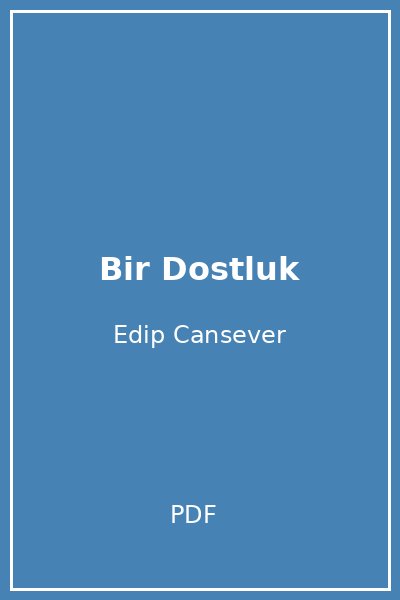 Bir Dostluk