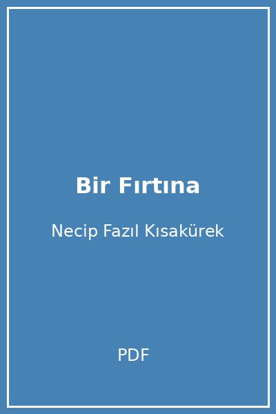 Bir Fırtına