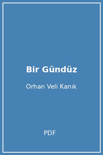 Bir Gündüz