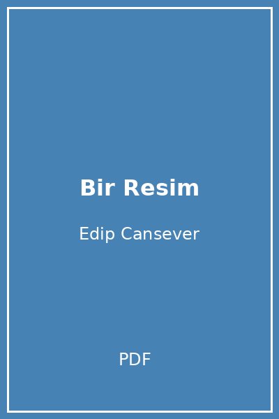 Bir Resim