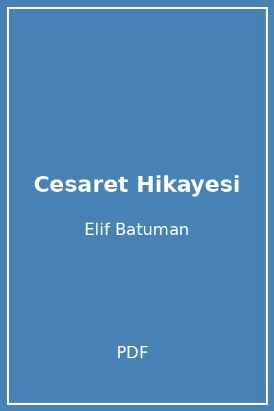 Cesaret Hikayesi
