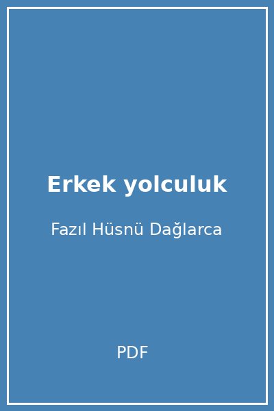 Erkek yolculuk