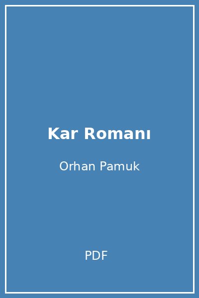 Kar Romanı