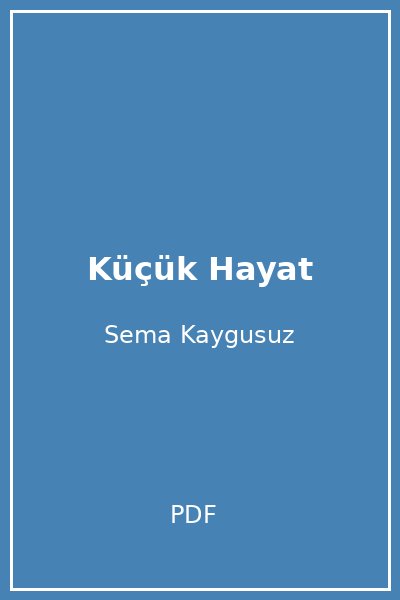 Küçük Hayat