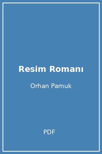 Resim Romanı
