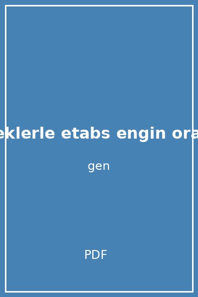 rneklerle etabs engin orakd