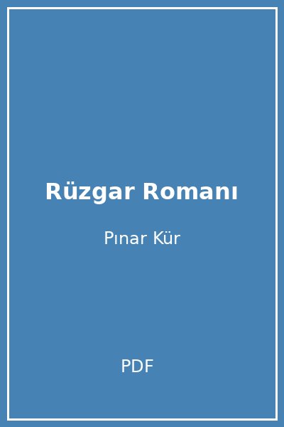 Rüzgar Romanı