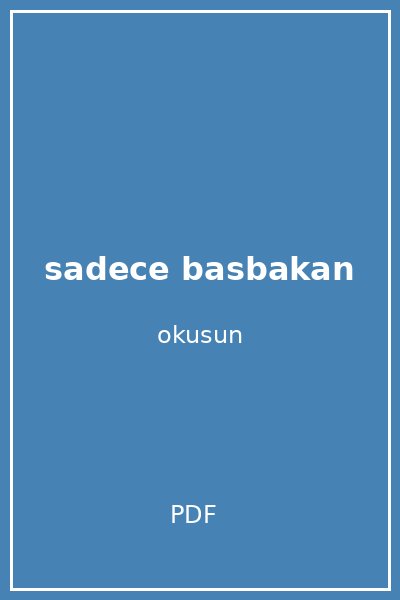 sadece basbakan