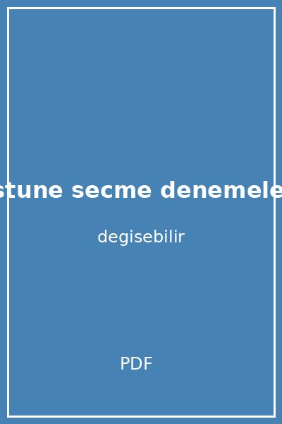 sevgi ustune secme denemeler kapak